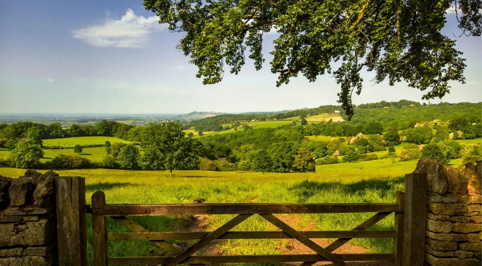 Rolling green English countryside on a clear day, a classic view on a day trip from London
